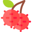 Rambutan icon 64x64