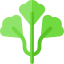 Parsley icon 64x64