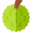 Durian icon 64x64