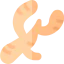 Ginger icon 64x64