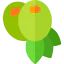 Olive icon 64x64