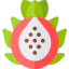 Pitaya icon 64x64