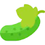 Cucumber icon 64x64