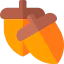 Acorn icon 64x64