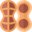 Peanut icon 64x64