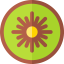 Kiwi icon 64x64