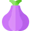 Onion icon 64x64