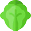 Cabbage Ikona 64x64