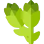 Asparagus icon 64x64
