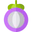 Mangosteen icon 64x64