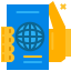 International passport icon 64x64