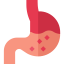 Stomach icon 64x64