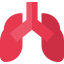 Lungs icon 64x64