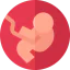 Embryo icon 64x64