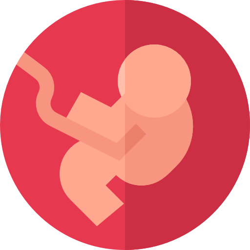Embryo icon