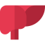 Liver Symbol 64x64