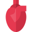 Heart icon 64x64