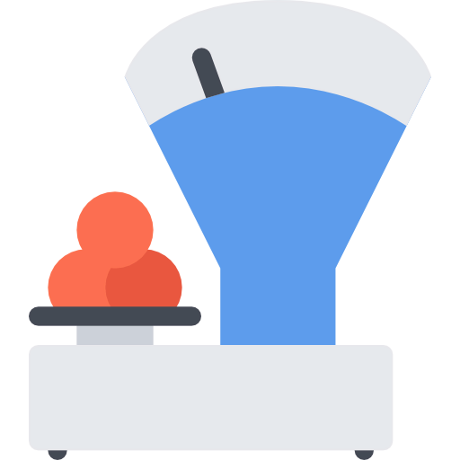 Scale icon