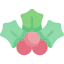 Mistletoe icon 64x64