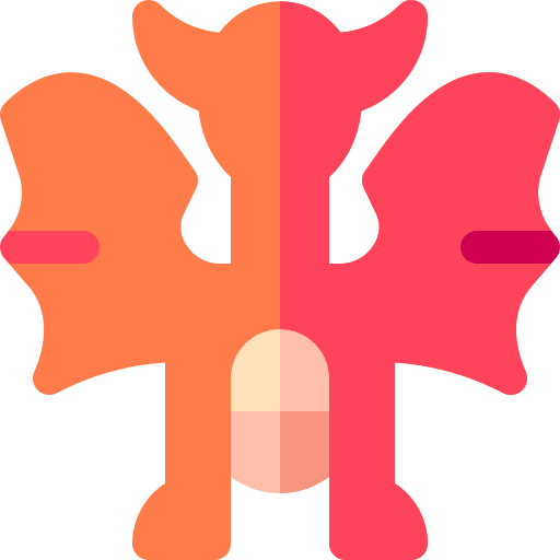 Dragon icon