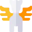 Pegasus icon 64x64