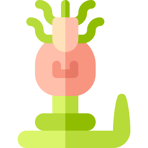 Gorgon icon