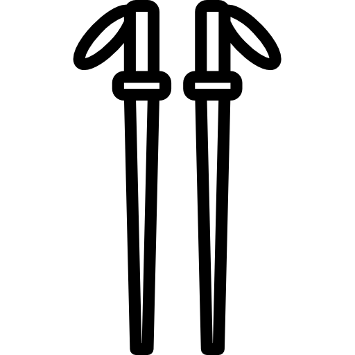 Pole icon