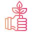 Sprout icon 64x64
