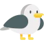 Seagull icon 64x64