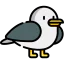 Seagull icon 64x64