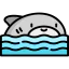 Shark icon 64x64