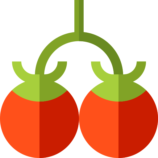 Tomatoes icon