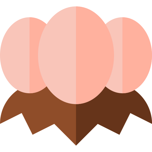 Eggs icon