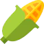 Corn icon 64x64