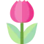 Tulip 상 64x64