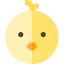 Chicken 상 64x64