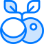 Ornament icon 64x64