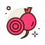 Beet icon 64x64