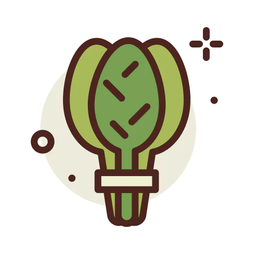 Spinach icon