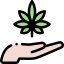 Cannabis icon 64x64
