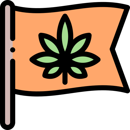 Flag icon