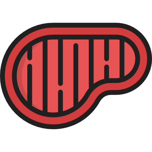 Steak icon
