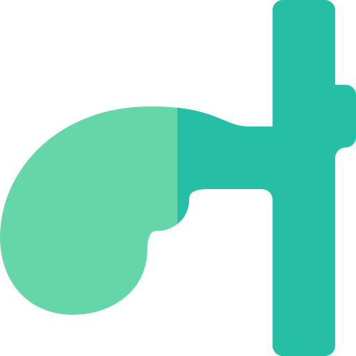 Gallbladder icon