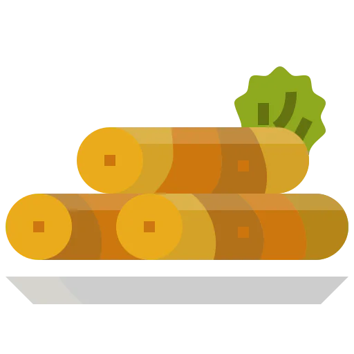 Spring rolls icon