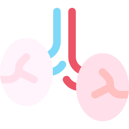 Testicles icon
