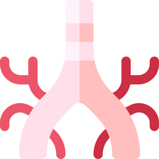 Bronchus icon