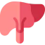 Liver Symbol 64x64