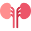 Kidneys Symbol 64x64