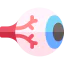 Eye balls іконка 64x64