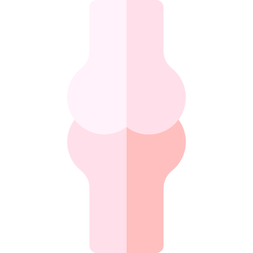 Bone icon